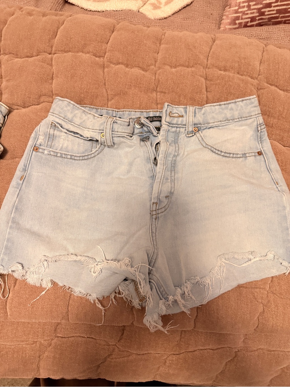 wild fable Light Blue Frayed Hem Denim Shorts
